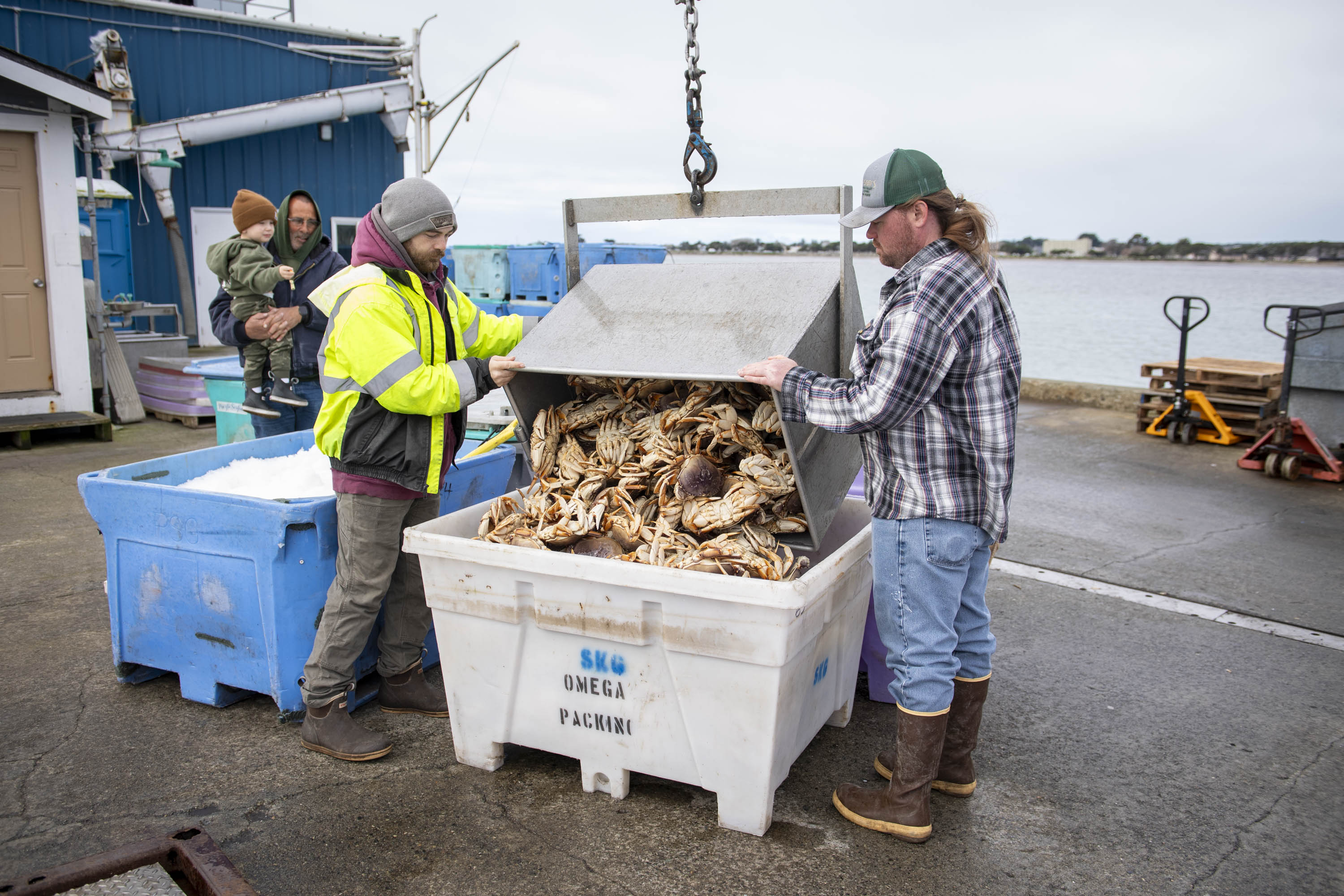 Two people are unloading a large container filled with crabs at a dock. They are surrounded by blue containers, with a calm body of water in the background.