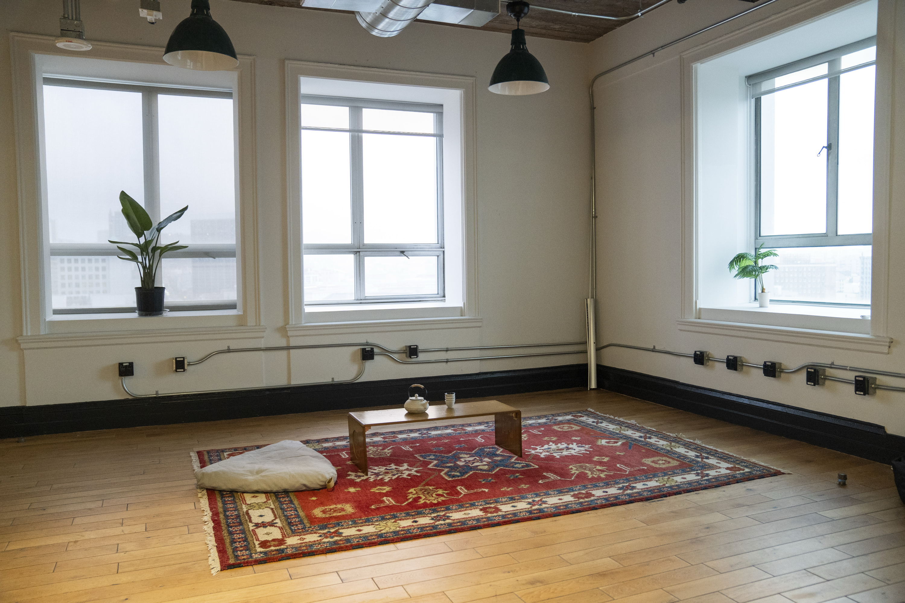 A minimalist room features large windows, a red patterned rug, a low wooden table with a teapot, a cushion, and two potted plants.