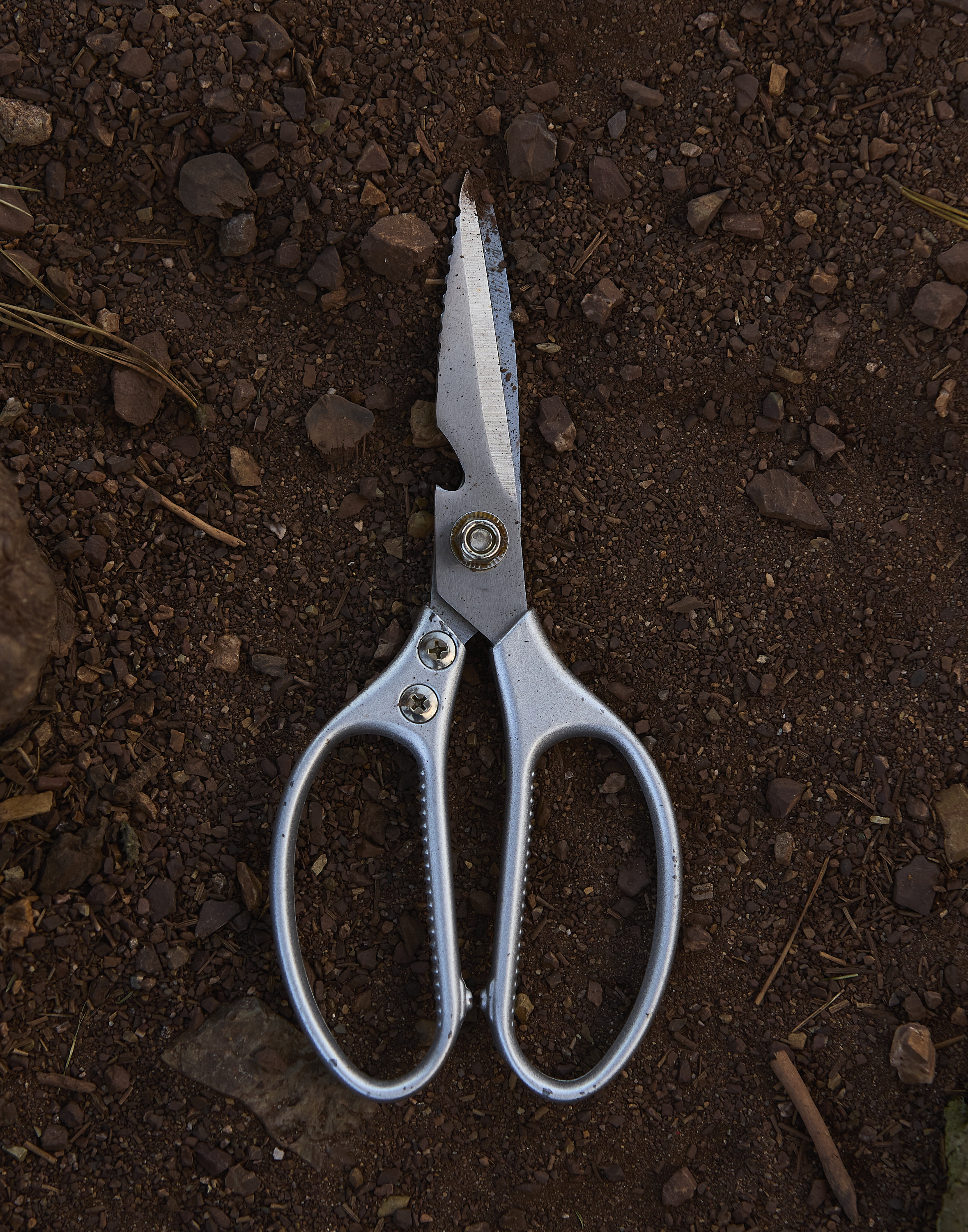 A pair of silver garden shears lies on brown, rocky soil. The blades are slightly open, with visible nuts and screws on the handle.