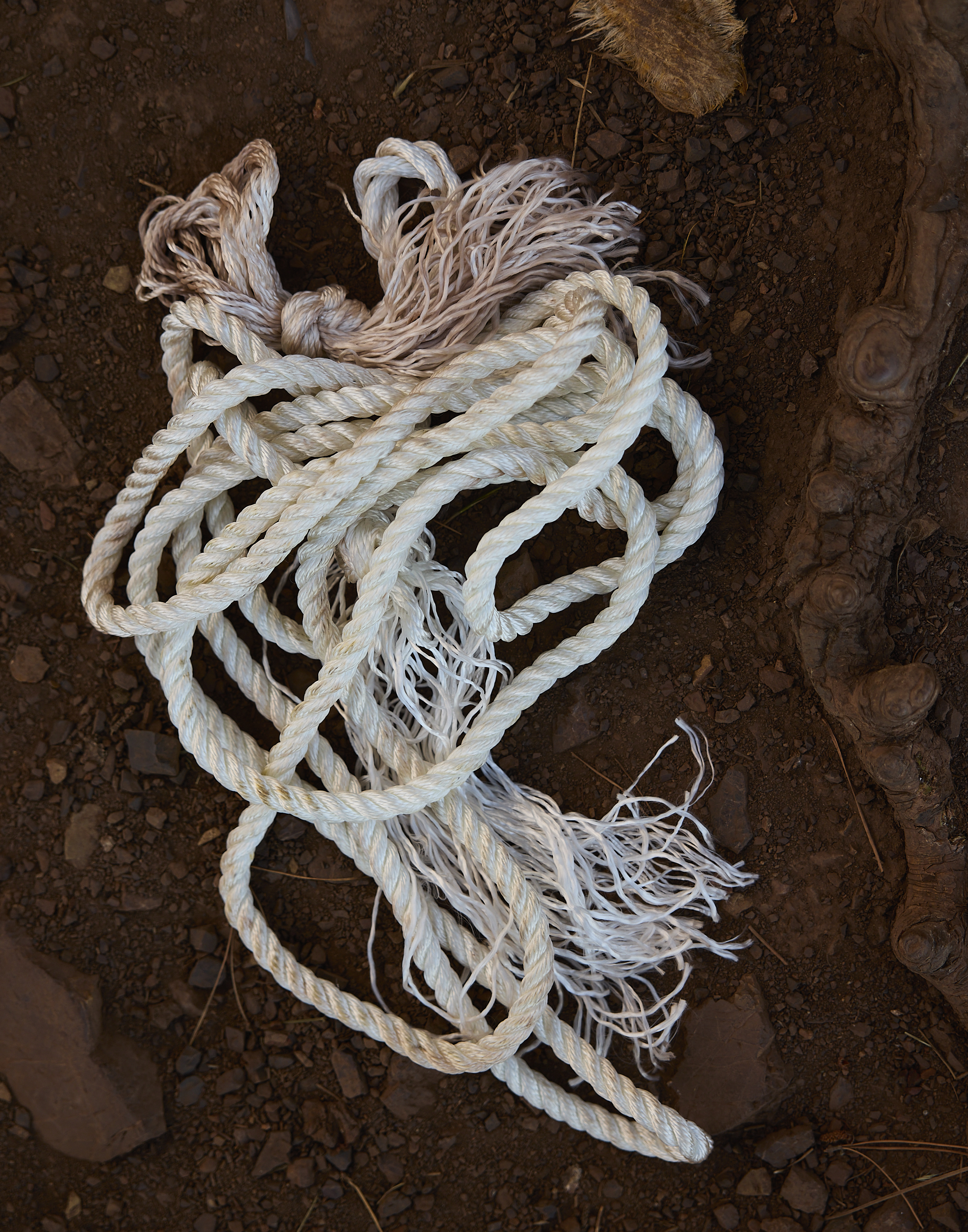 A coiled white rope with frayed ends lies on a rough, brown dirt surface, scattered with small stones.