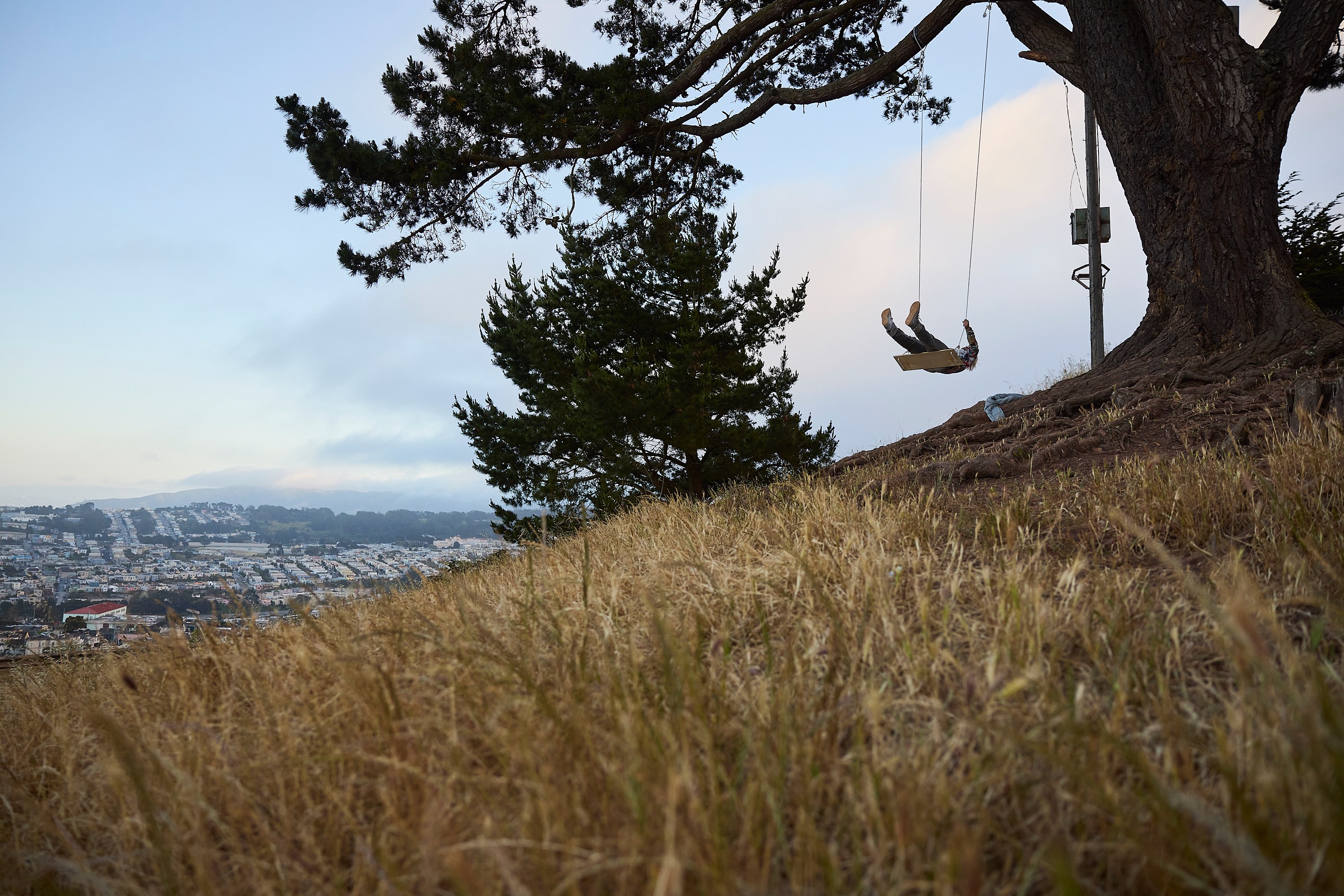 A person swings from a tree on a hill, with a scenic view of a city in the background. The ground is grassy and the sky is clear with light clouds.