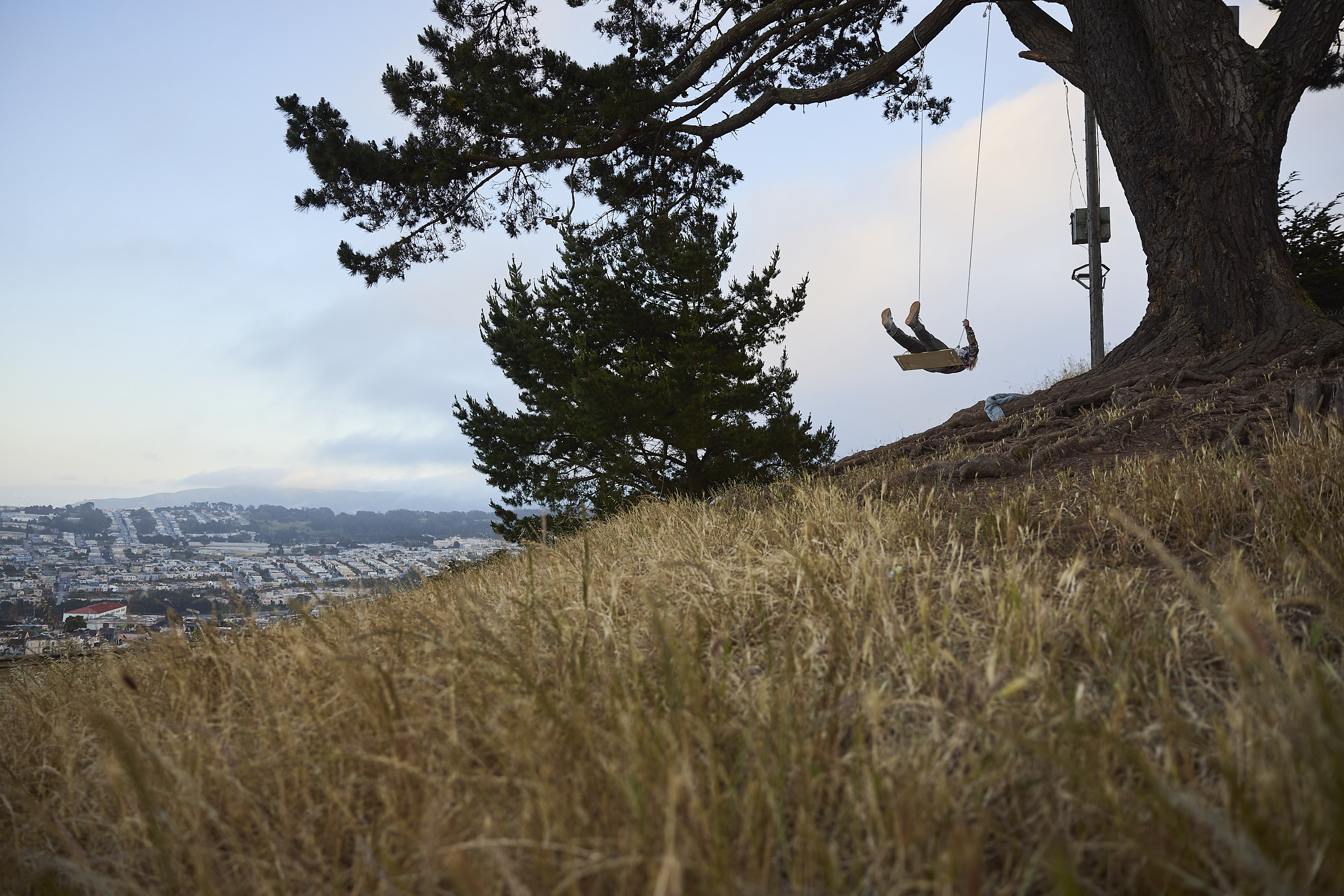 A person swings from a tree on a hill, with a scenic view of a city in the background. The ground is grassy and the sky is clear with light clouds.