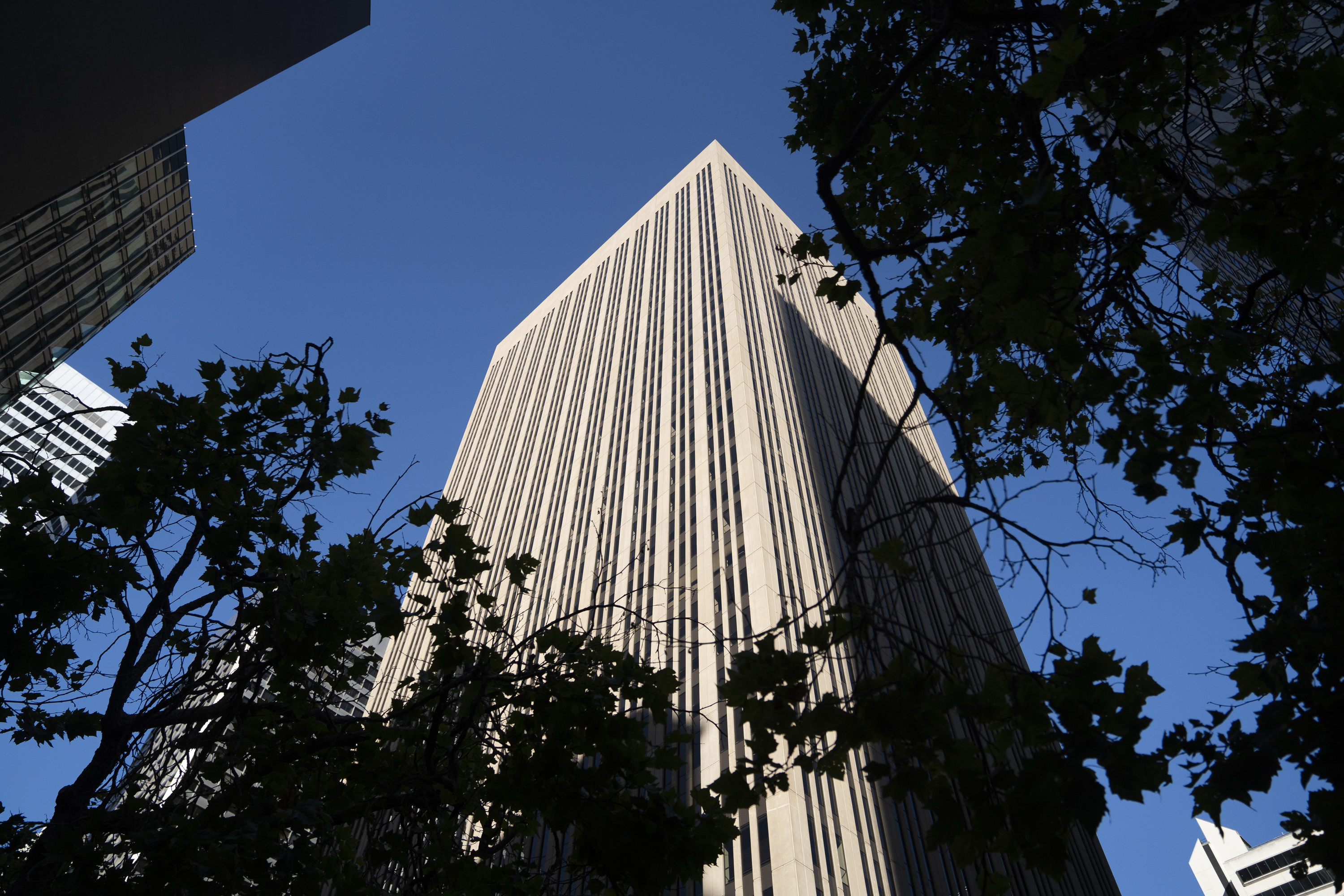 A tall skyscraper with vertical lines dominates the image, surrounded by silhouetted tree branches against a clear blue sky.