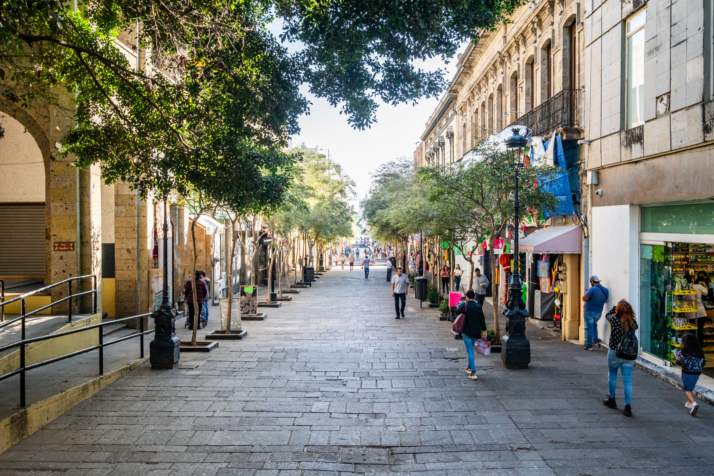 A bustling pedestrian street lined with trees and old buildings, with people walking, shops on the side, and some greenery providing shade along the pathway.