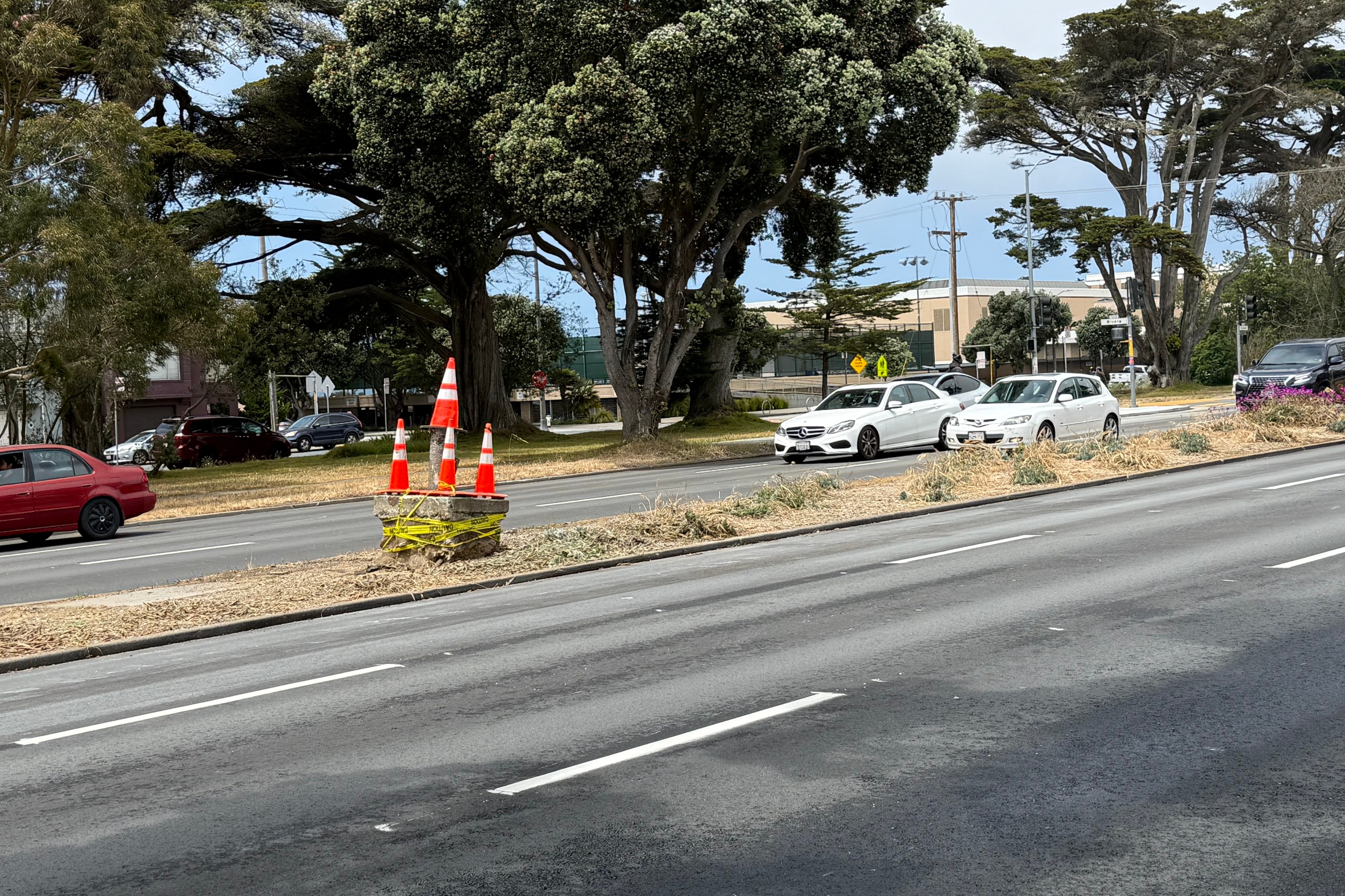 The image shows a road with cars moving in both directions. Large trees line the background, with some traffic cones placed on an island in the middle.