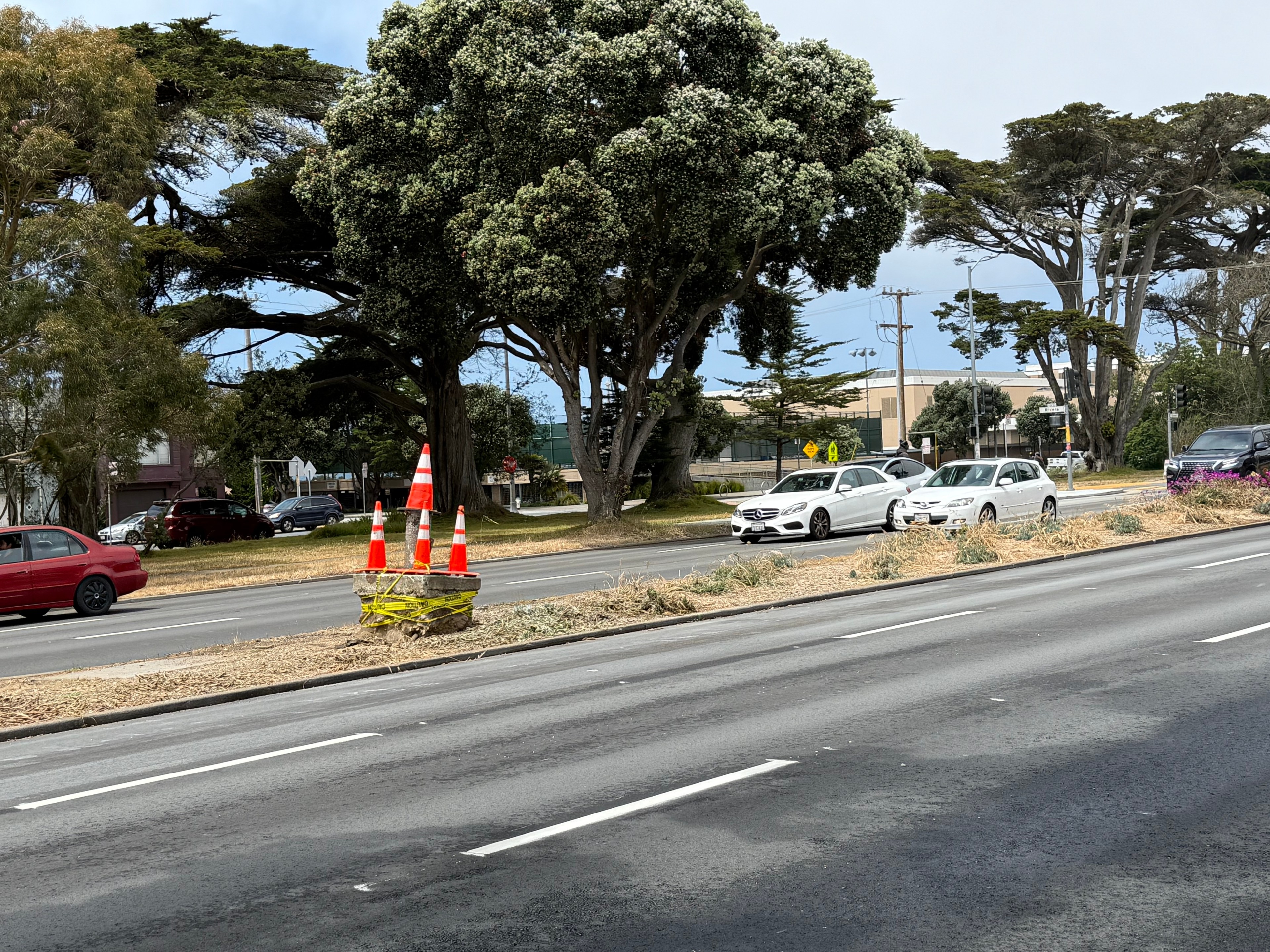 The image shows a road with cars moving in both directions. Large trees line the background, with some traffic cones placed on an island in the middle.