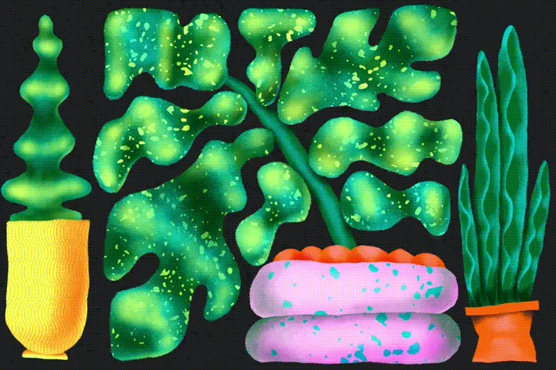 The image features abstract, vibrant green plants with unique textures and patterns, set in colorful pots against a dark background.