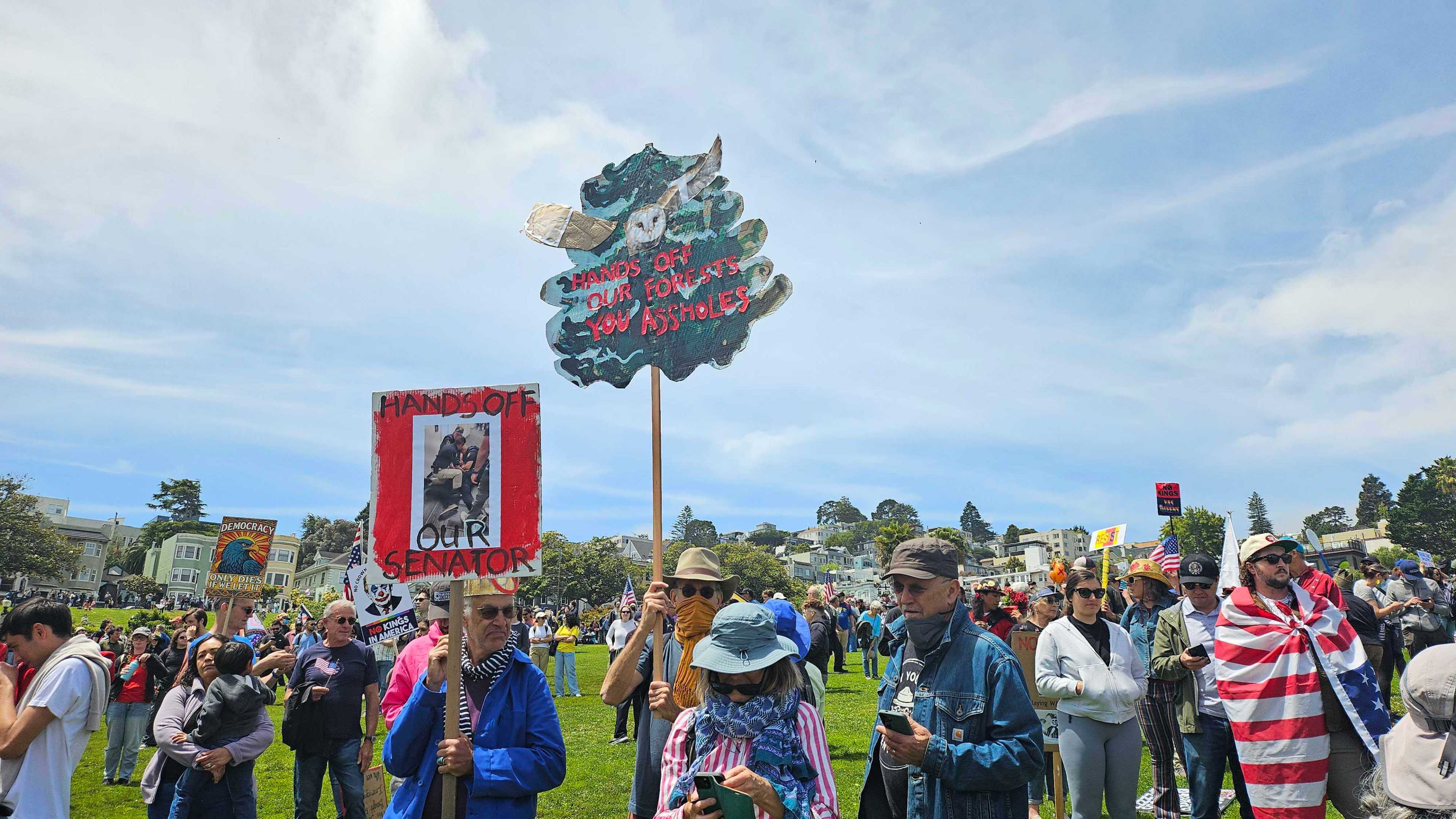 A crowd gathered outdoors holds various signs, including one reading &quot;Hands off our forests,&quot; under a partly cloudy sky. People appear engaged and diverse.