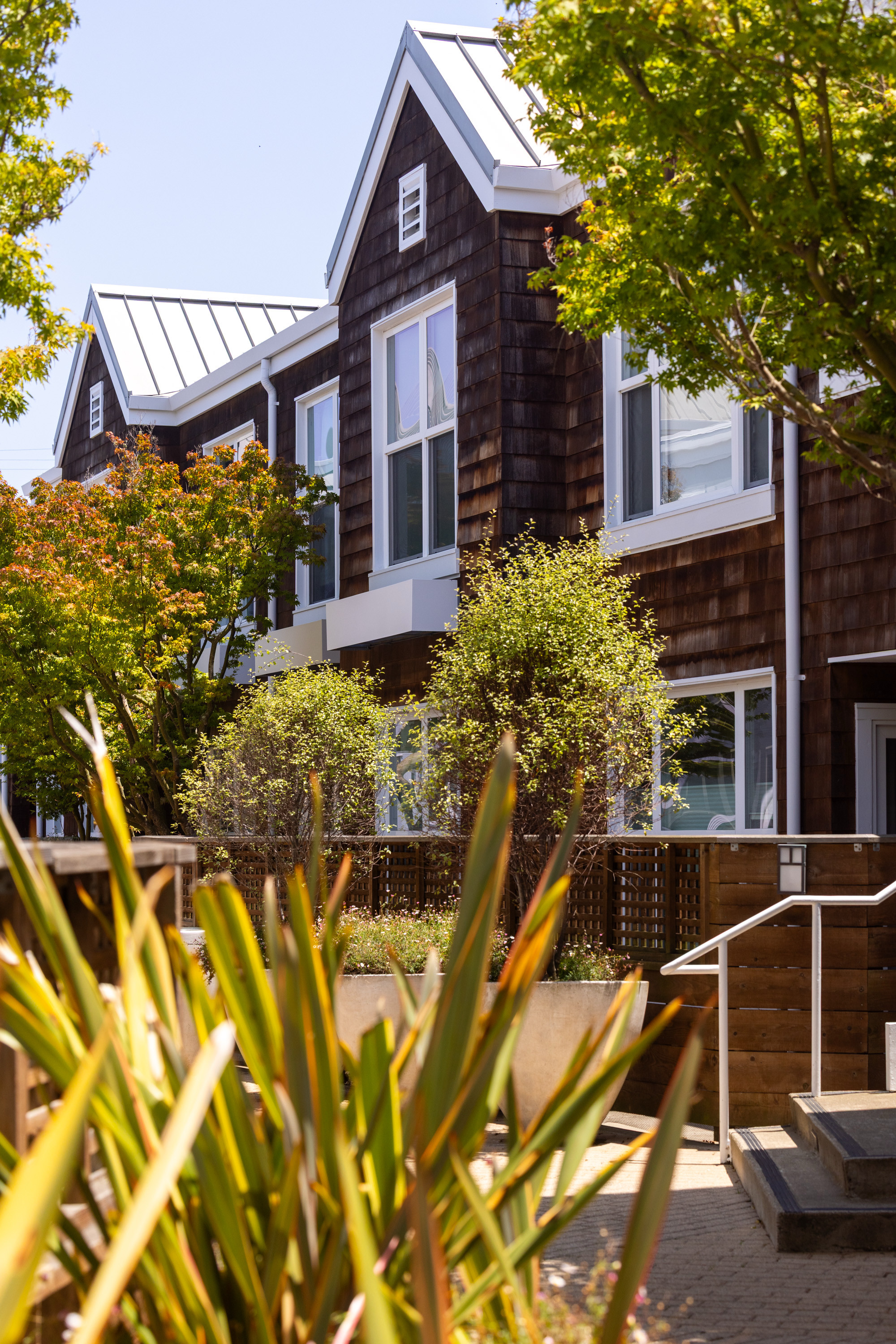 A row of modern two-story houses with large windows and wooden siding is partially obscured by lush green trees and plants under a clear blue sky.