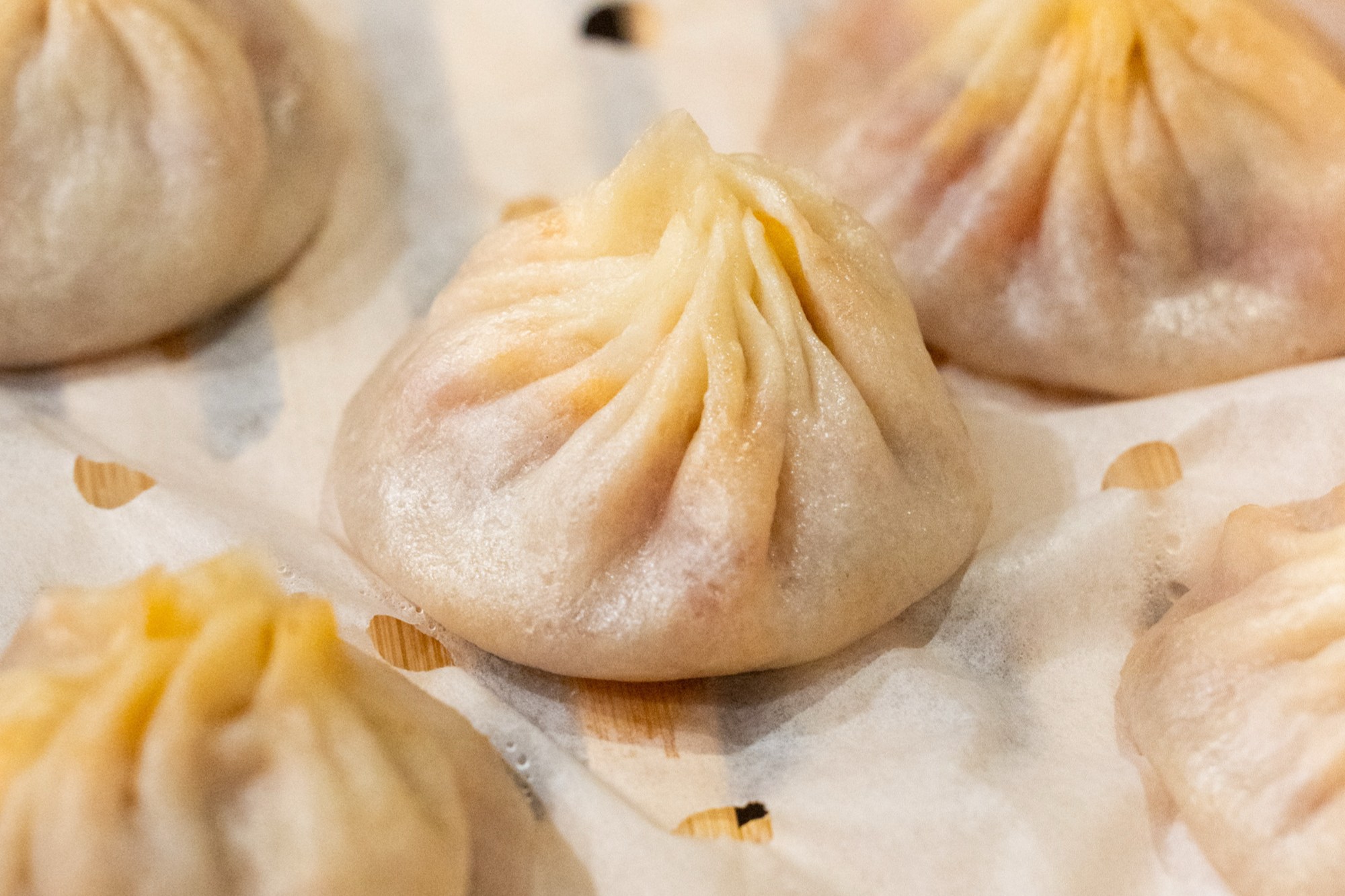 The image shows a bamboo steamer with five plump, steamed dumplings, slightly glossy, with pleated tops on parchment paper.