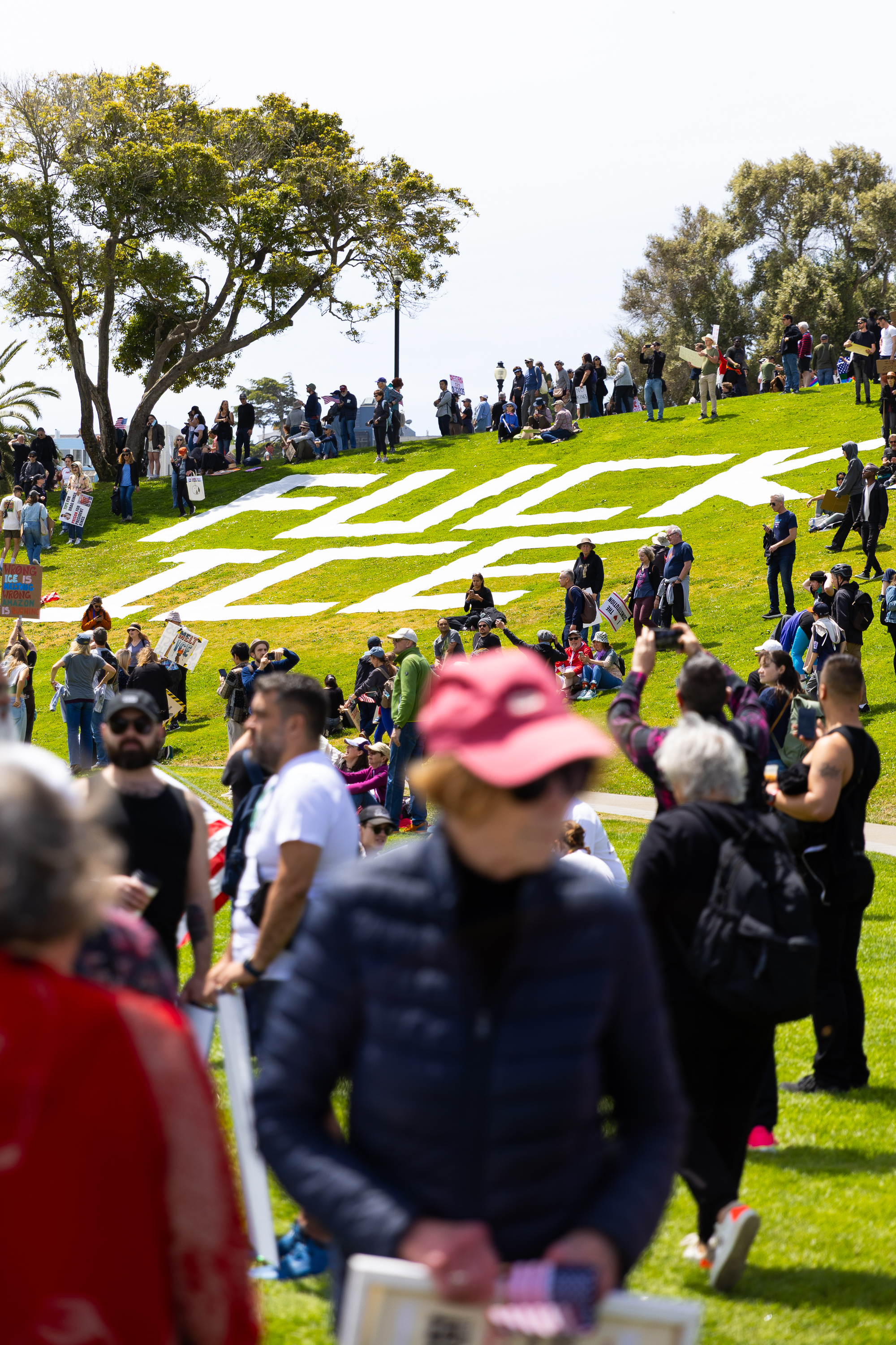 People gather on a sunny grassy hill with large white letters, surrounded by trees, some holding signs and taking photos.