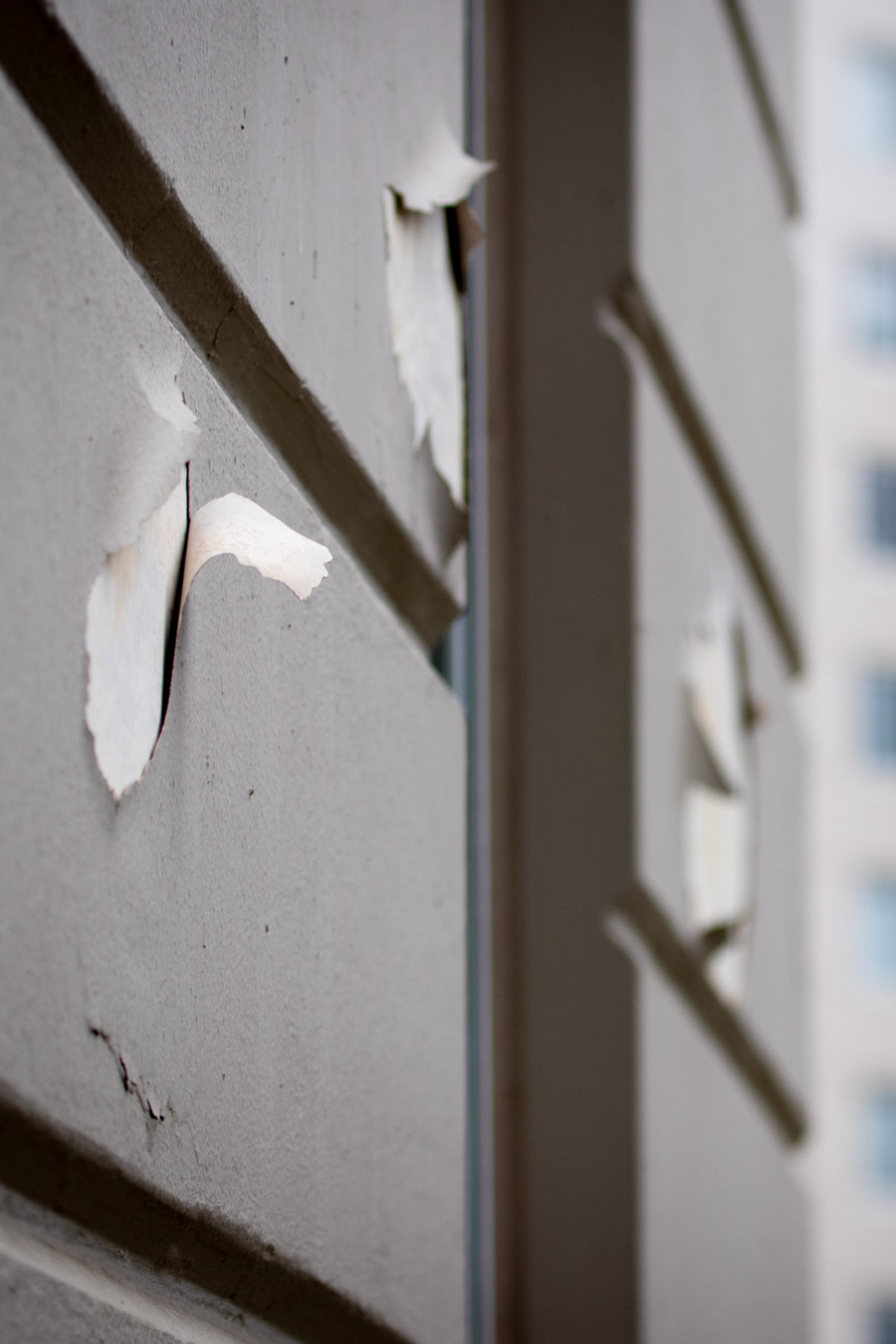Peeling paint curls away from the surface of a beige, paneled wall, revealing weathered texture; a blurred building is visible in the background.