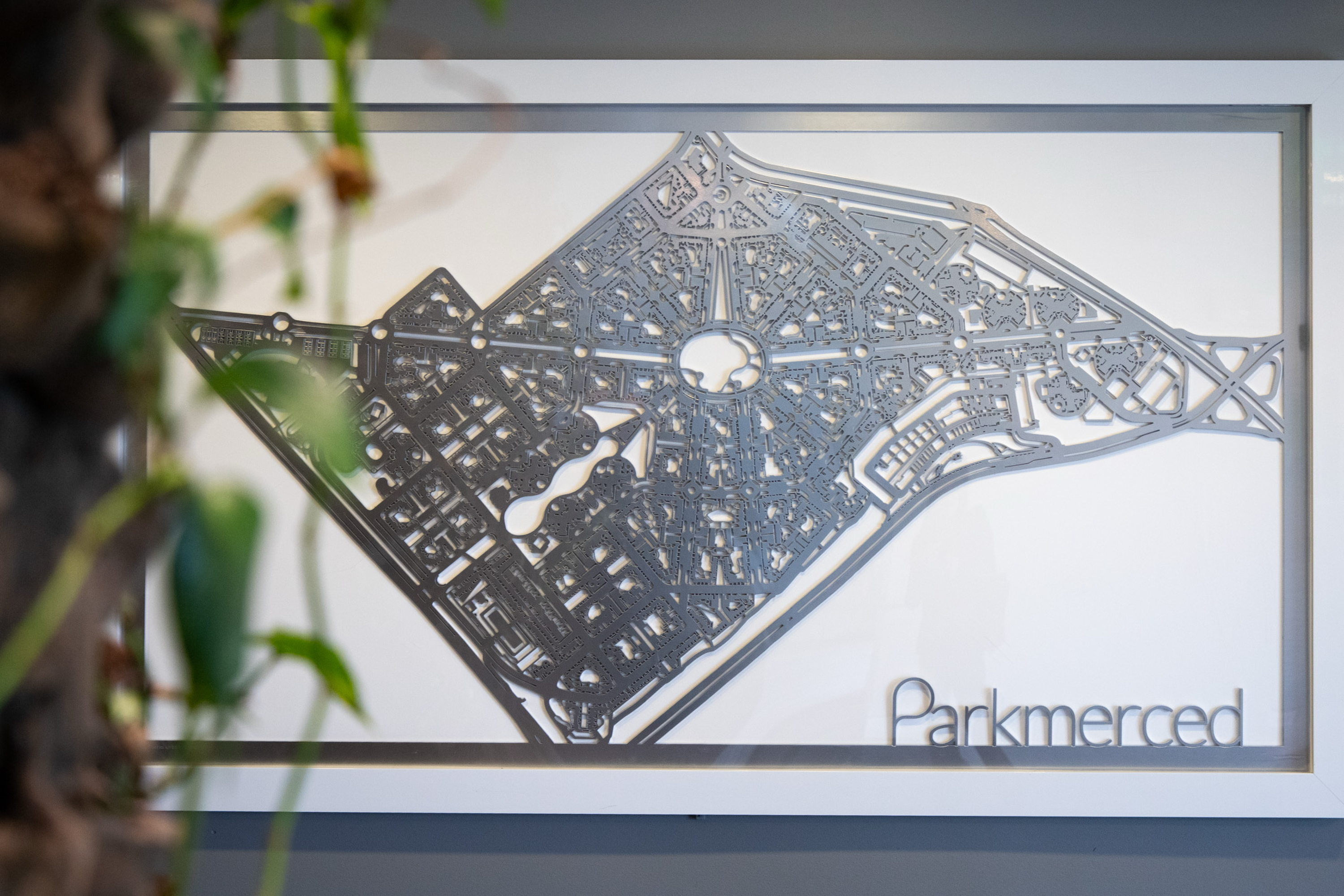 The image shows a framed, detailed map of Parkmerced, featuring intricate lines and shapes representing roads and structures, with a tree-like plant partially obscuring the left side.