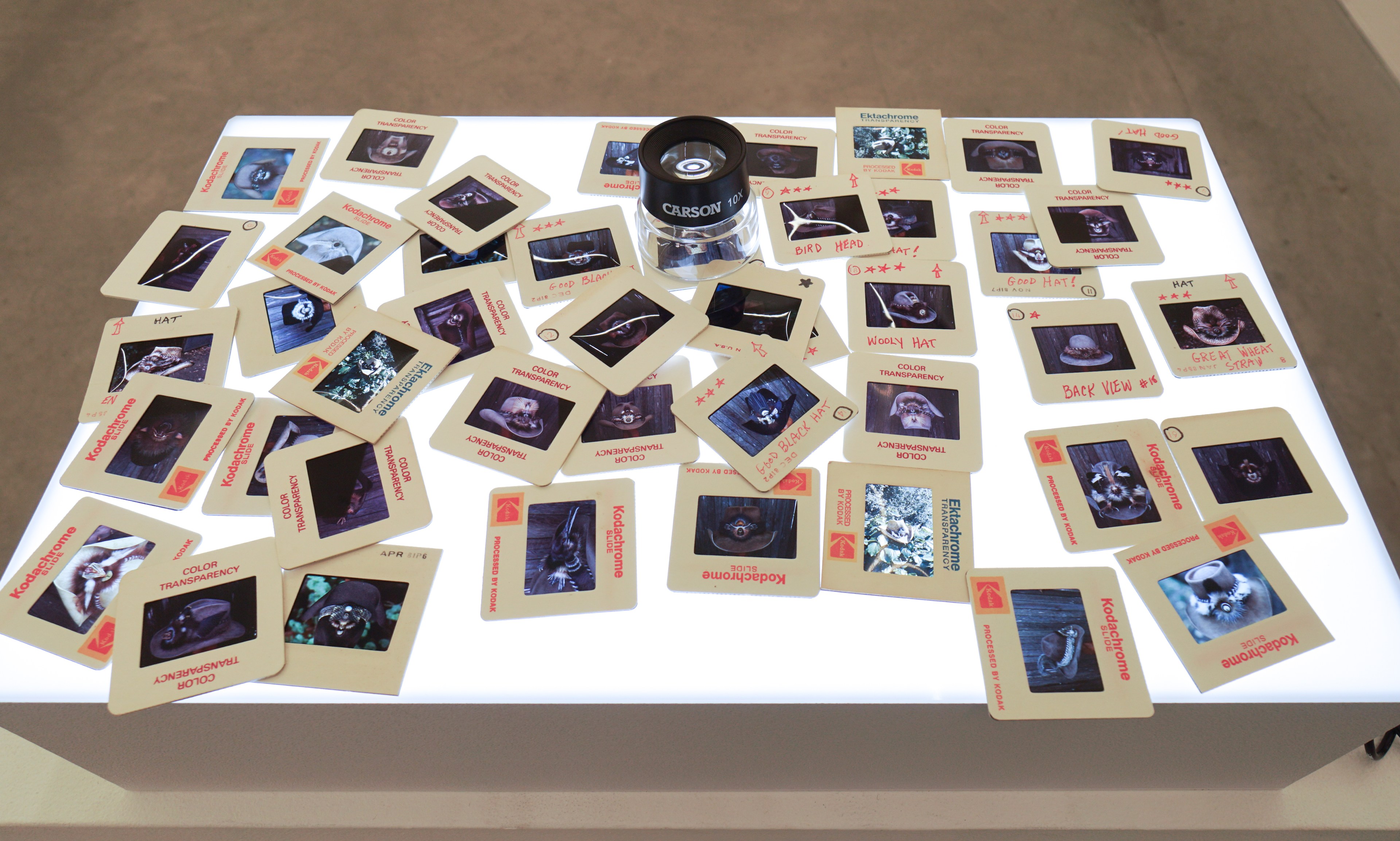 The image shows a light table covered with numerous Kodachrome slides displaying various photos, some with handwritten labels. A magnifying glass sits in the center.