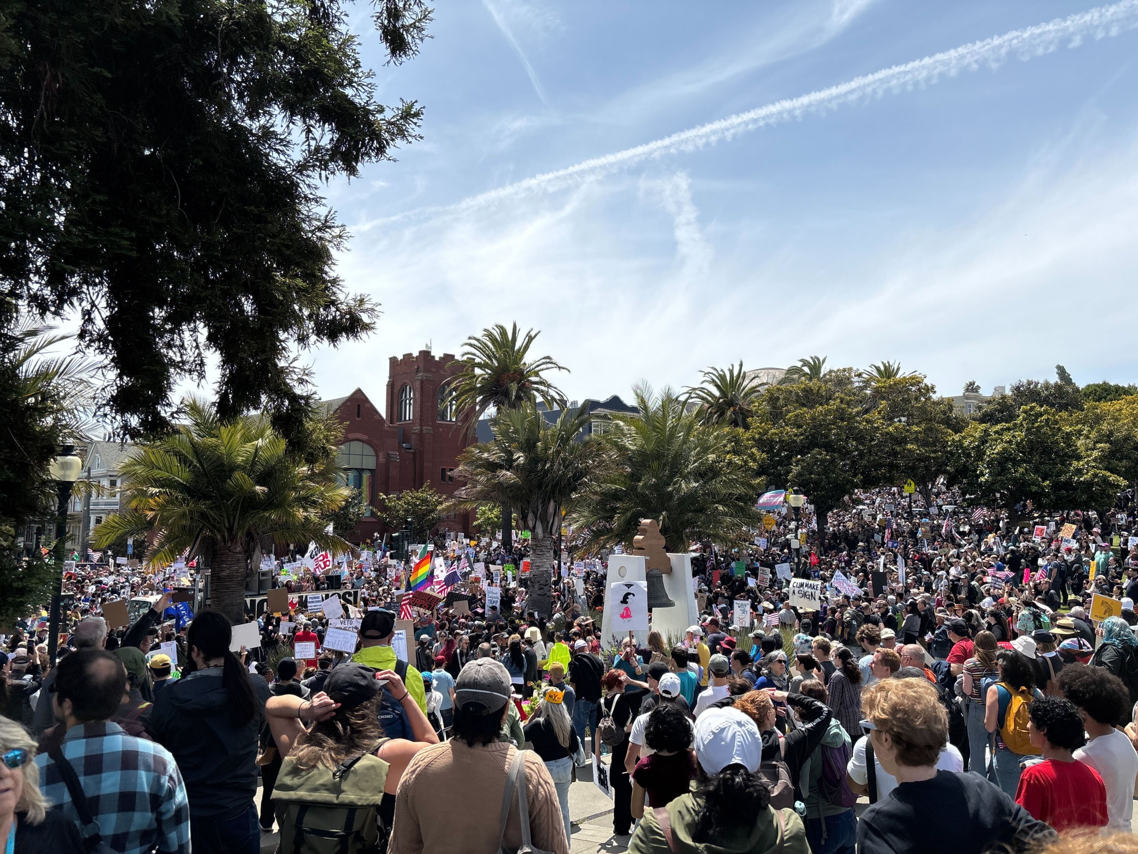 A large crowd gathers in a park holding signs, with palm trees and a red brick building in the background under a clear, blue sky.