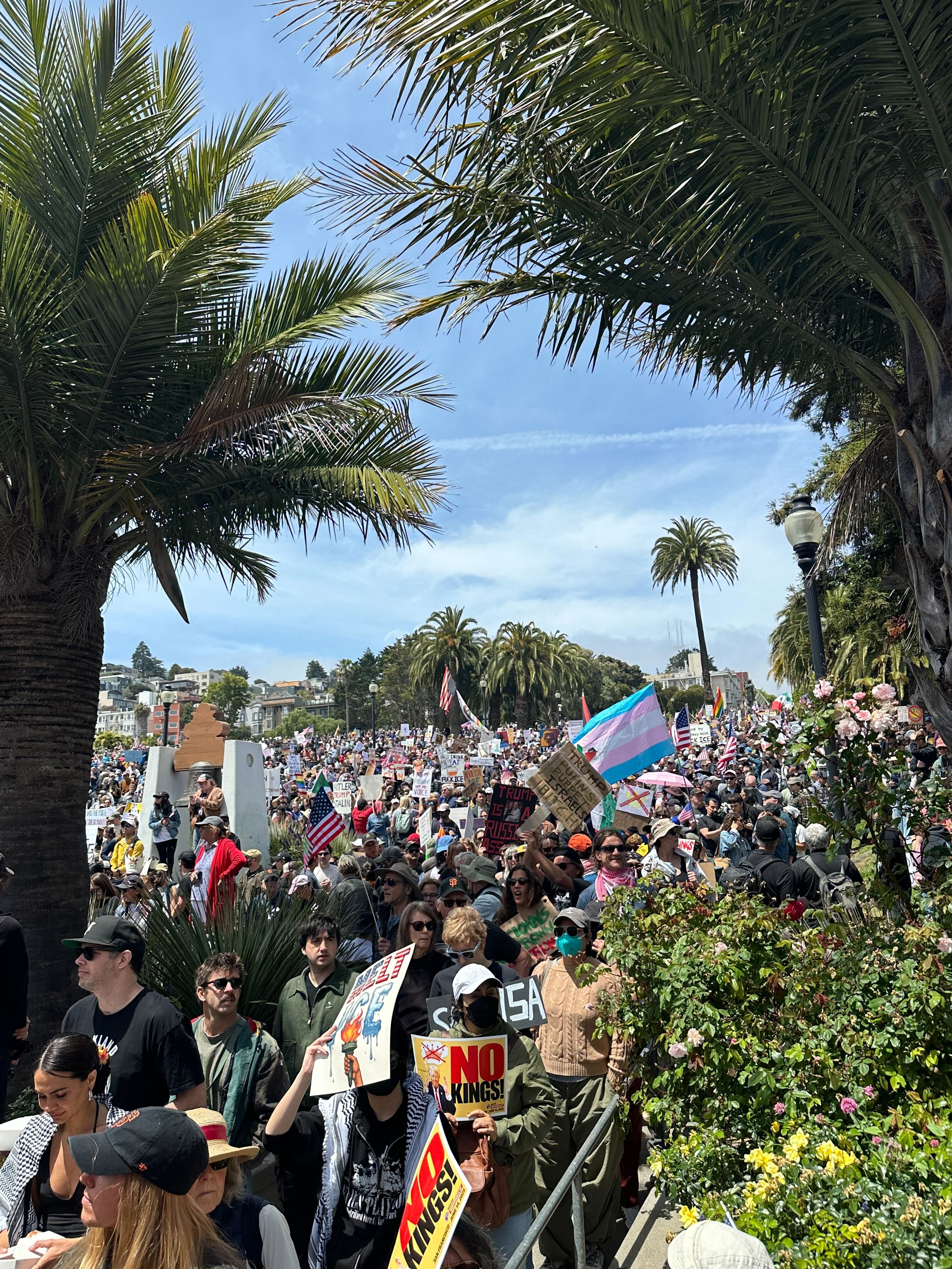 A large crowd gathers under palm trees, holding signs and flags, including a prominent transgender flag, during a sunny day protest.