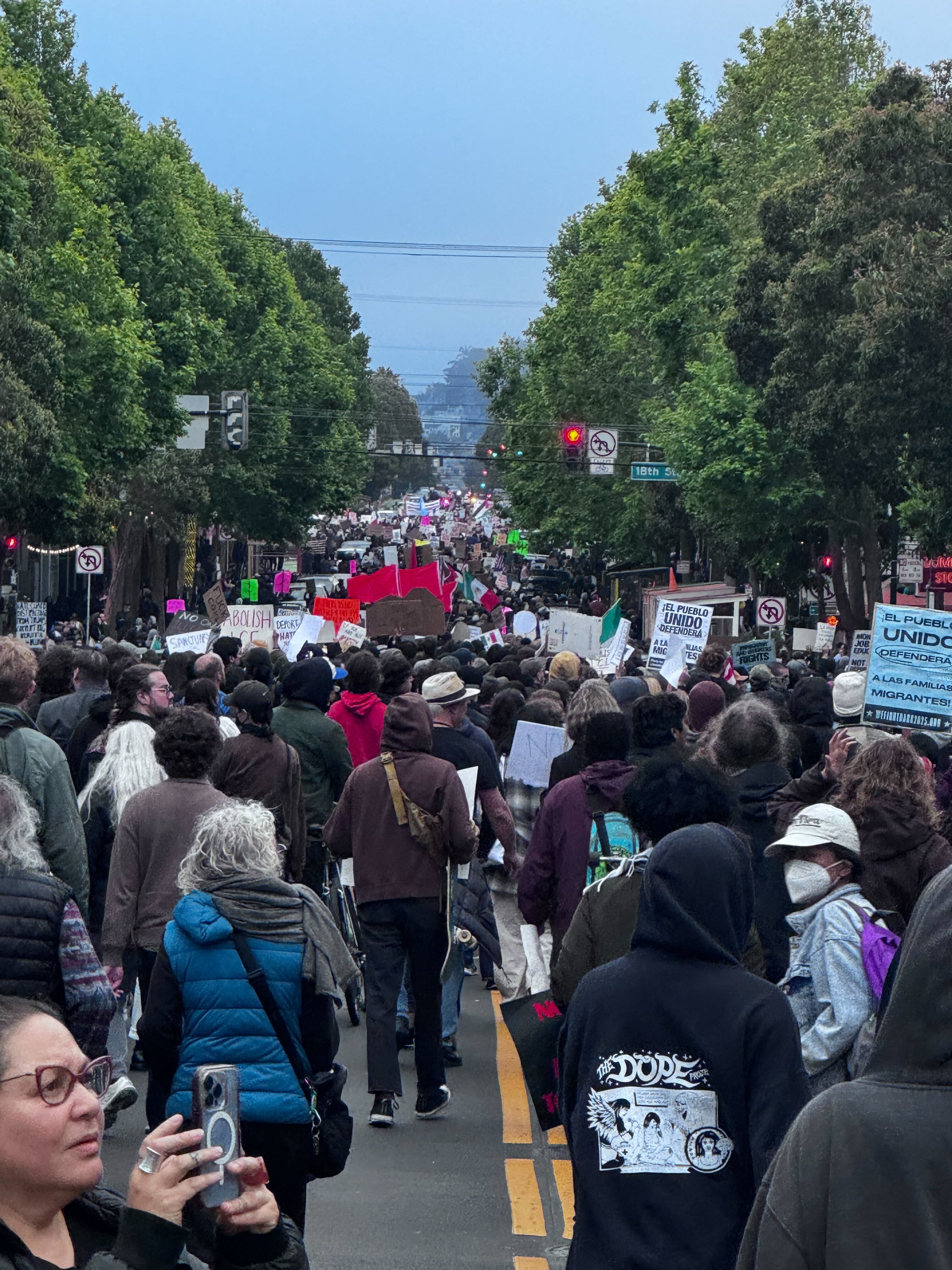 A large crowd is marching down a tree-lined street, holding various signs and banners. People are visible in casual attire, and some are taking photos.