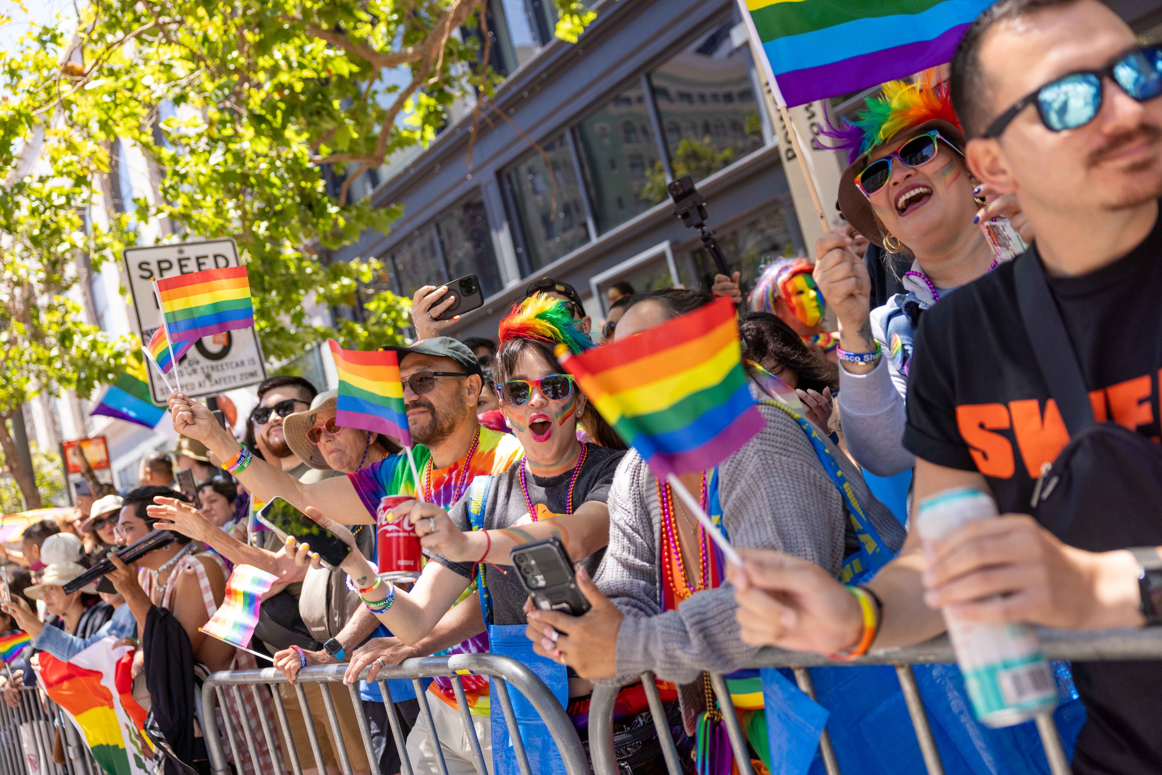 A lively crowd holding rainbow flags cheers behind a barrier at an outdoor event. Many wear colorful accessories and are taking photos with their phones.