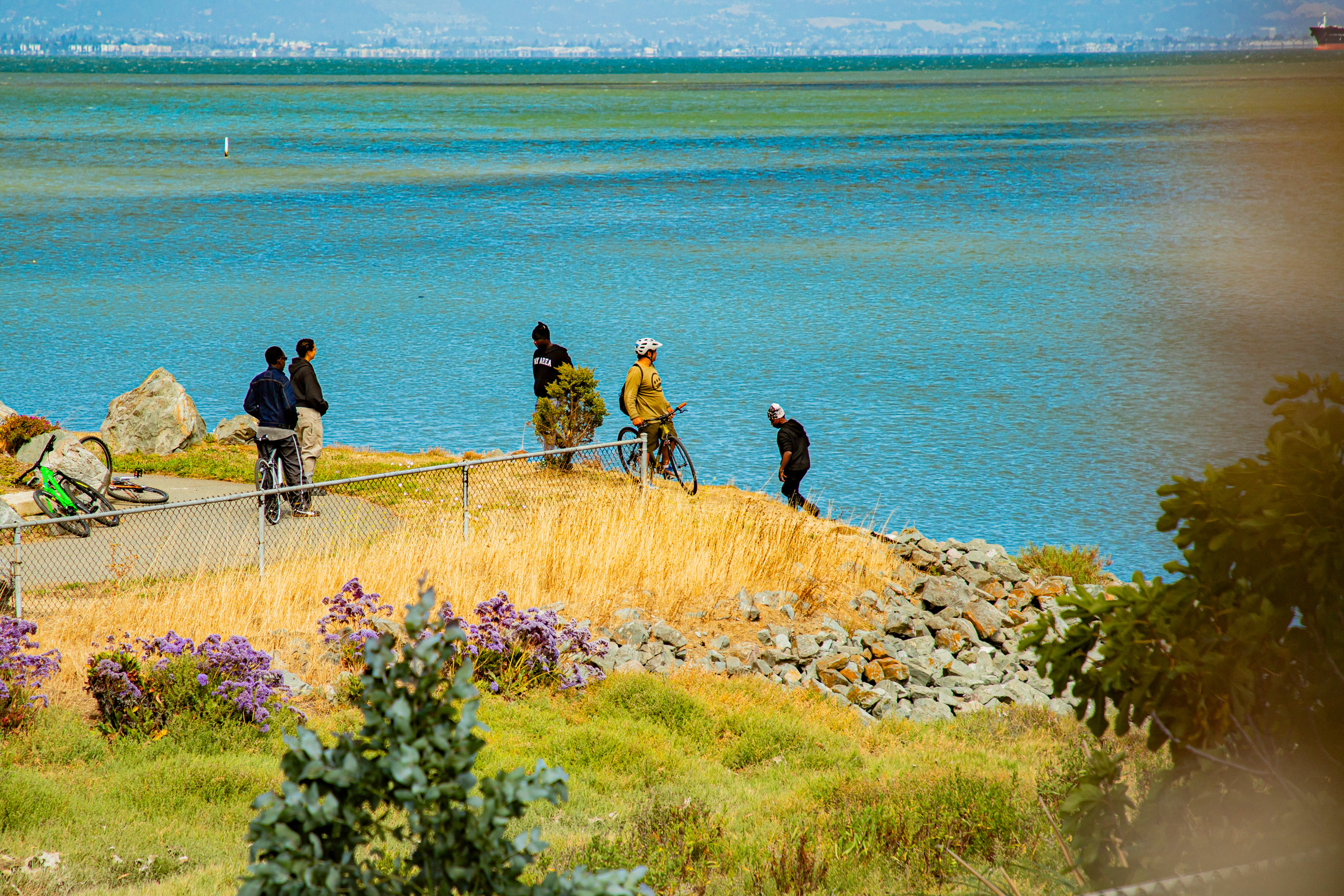 Five people stand by a lakeside path. Two have bicycles, and others are near a fence. The scene includes grass, rocks, and purple flowers by the blue water.