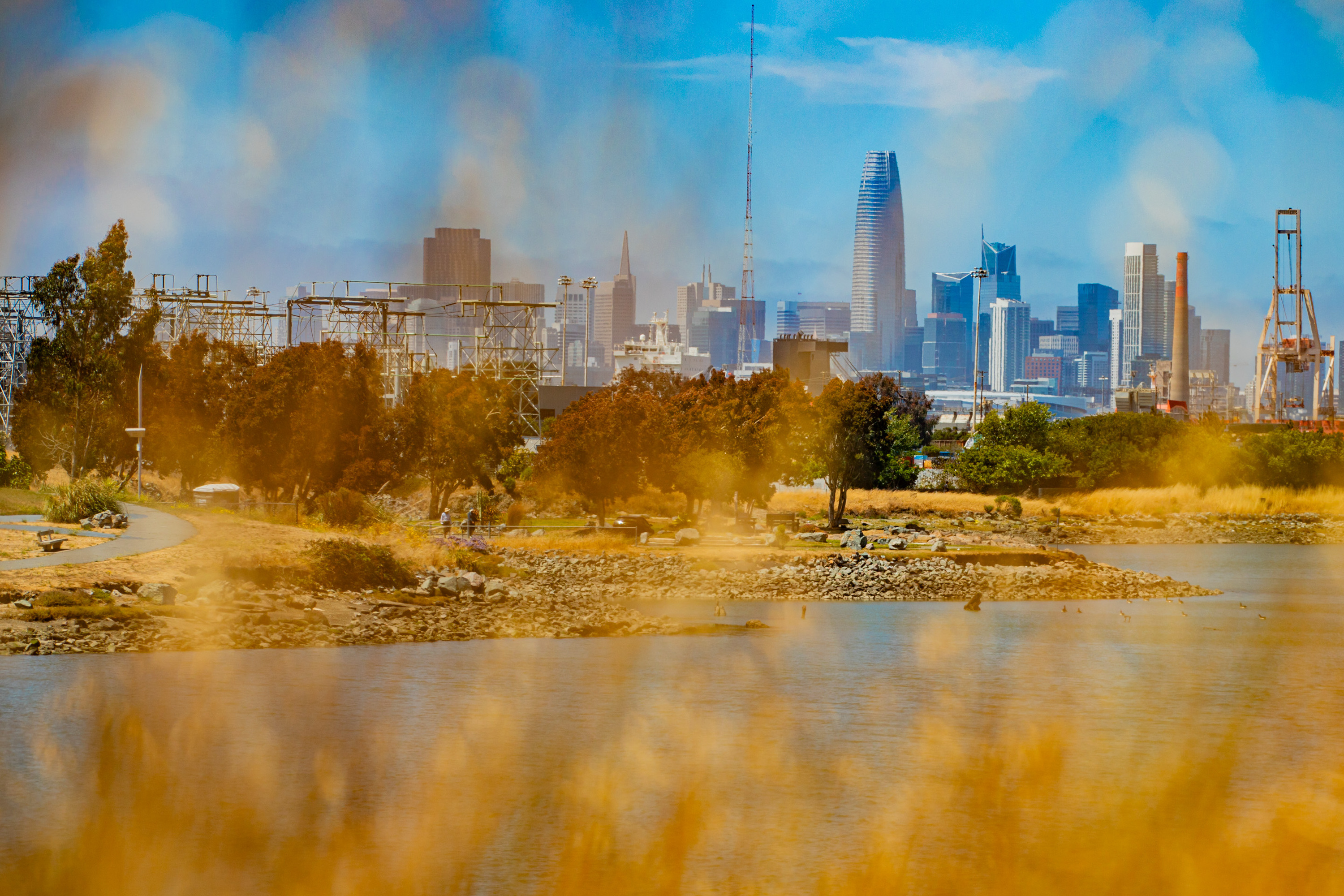 The image shows a vibrant city skyline with tall buildings in the background. In the foreground, golden grass, a waterway, trees, and a path are visible.