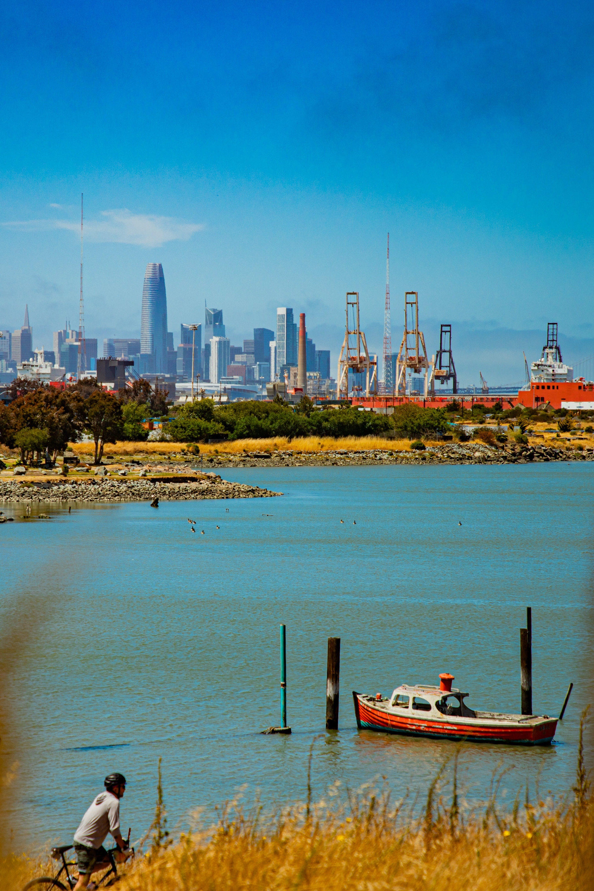 A person rides a bike near a calm waterway with a small red and white boat. In the background, a city skyline and cranes are visible under a clear blue sky.
