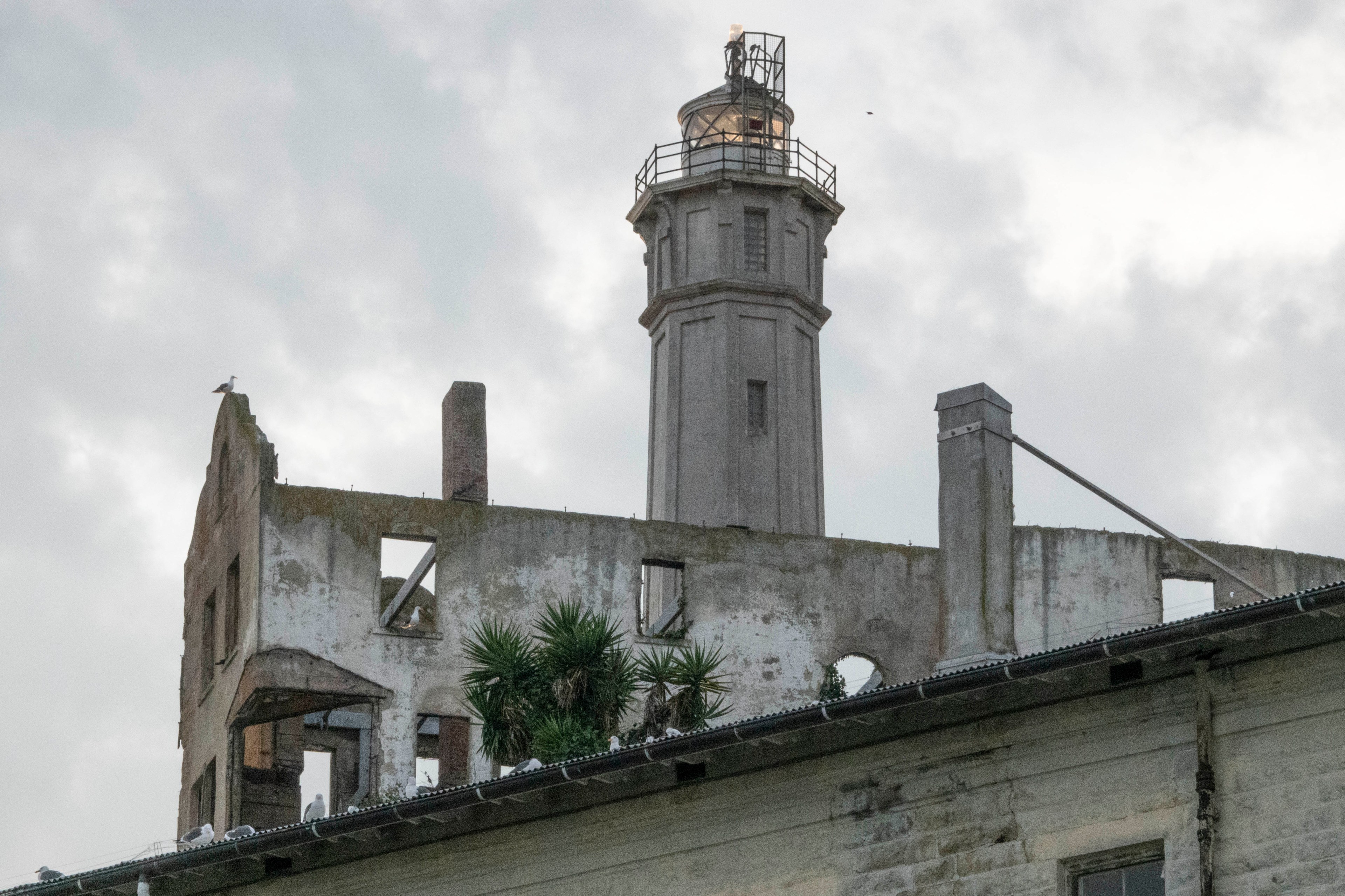 The image shows a weathered, partially ruined building with a lighthouse behind it. Seagulls perch on the rooftop, and small plants grow from the structure.