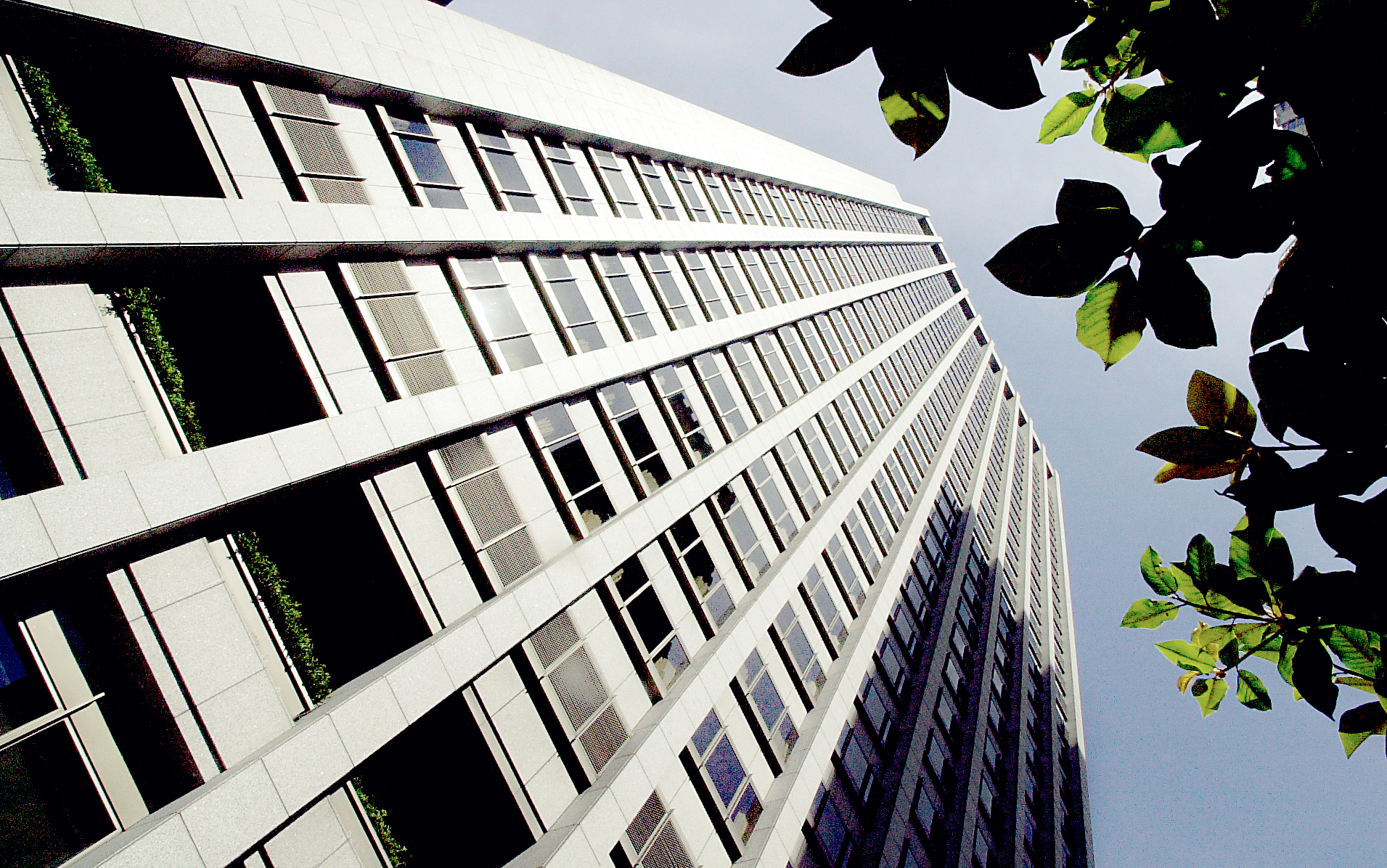 A tall skyscraper stretches upward, viewed from a low angle. Its facade is lined with uniform windows. Leaves from a nearby tree frame the top right.